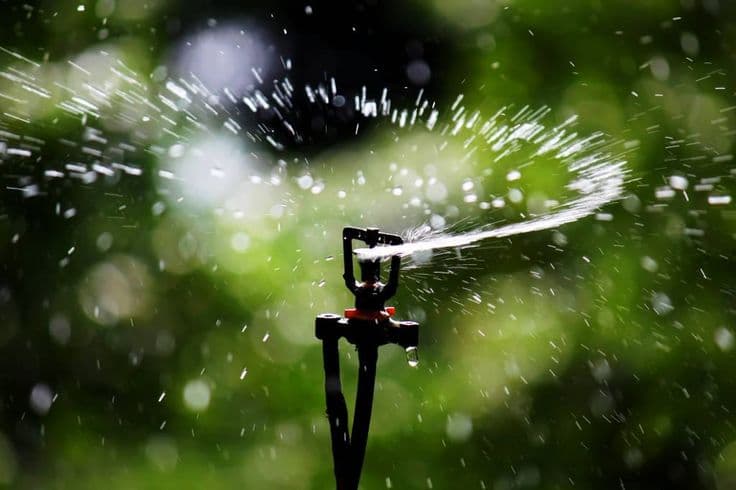 Instalação de Sistema de Irrigação